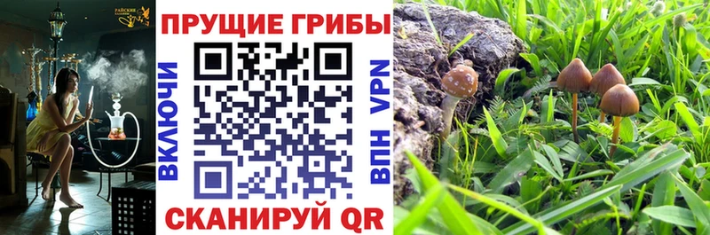 Галлюциногенные грибы Psilocybe  ОМГ ОМГ зеркало  Тутаев 