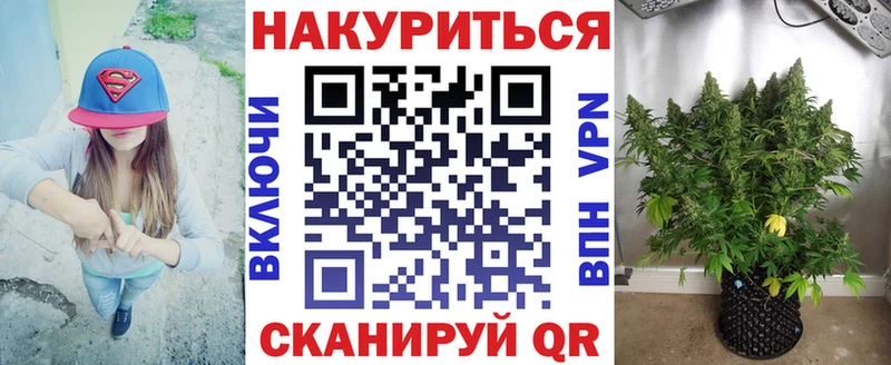 где купить   Тутаев  МАРИХУАНА гибрид 
